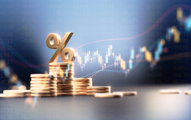 成都公司代理申报税的申报时间是否受公司规模影响？