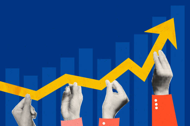 财务代帐对成都公司利润分析的信息质量有何影响？